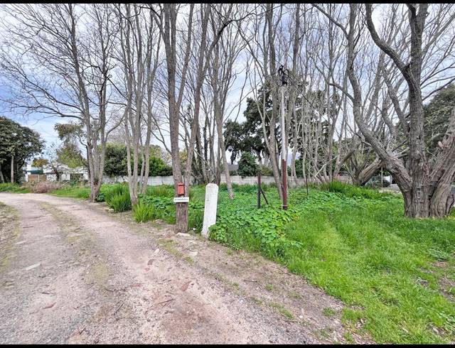 3 BEDROOM HOUSE FOR SALE IN NOVA CONSTANTIA